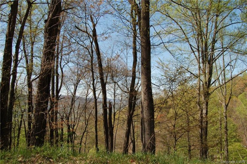 Property image 4 at 111 Vizsla Way, Waynesville, NC 28786