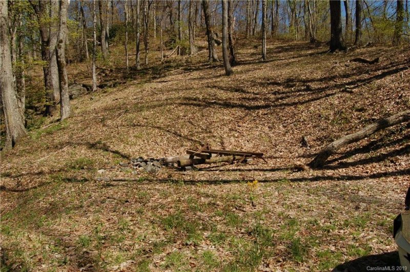 Property image 5 at 111 Vizsla Way, Waynesville, NC 28786