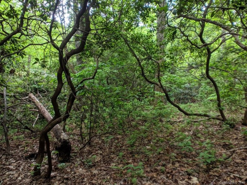 Property image 2 at Lot 184 Catawba Falls Parkway, Old Fort, NC 28762