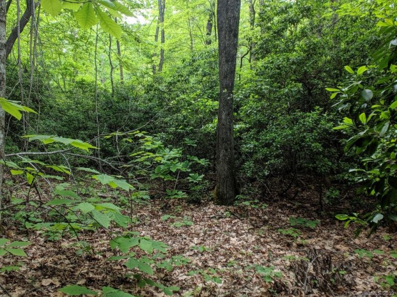 Property image 3 at Lot 184 Catawba Falls Parkway, Old Fort, NC 28762