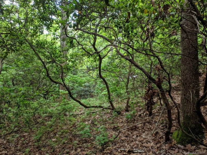 Property image 4 at Lot 184 Catawba Falls Parkway, Old Fort, NC 28762