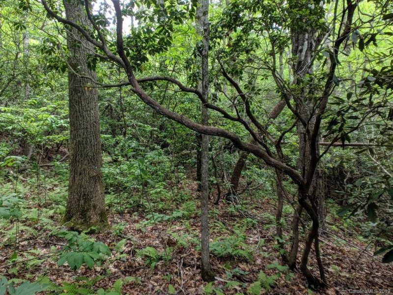 Property image 5 at Lot 184 Catawba Falls Parkway, Old Fort, NC 28762