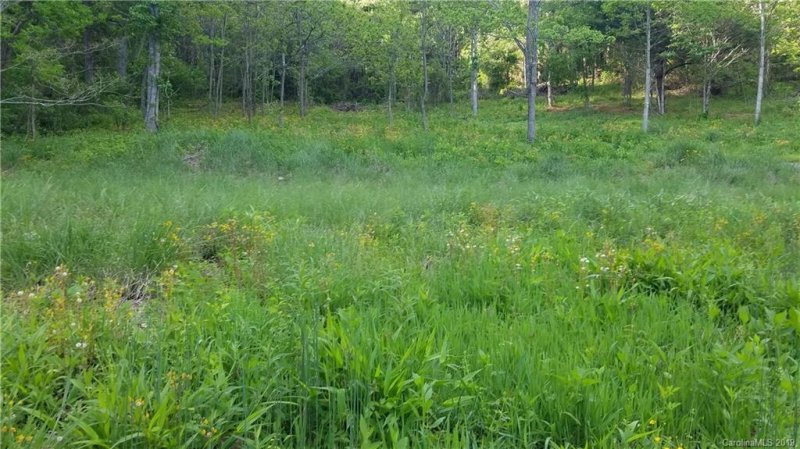 Property image 2 at 300 Green Meadow Lane, Mars Hill, NC 28754