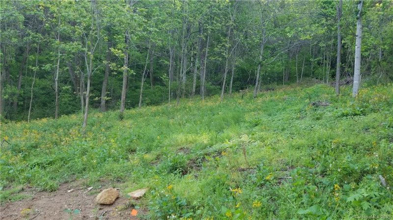 Property image 4 at 300 Green Meadow Lane, Mars Hill, NC 28754