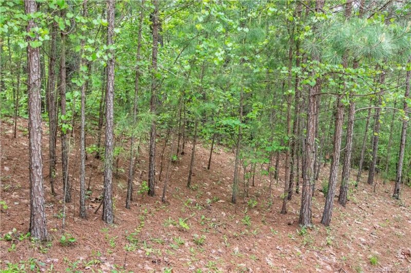 Property image 5 at 124 Windingwood Drive, Statesville, NC 28677