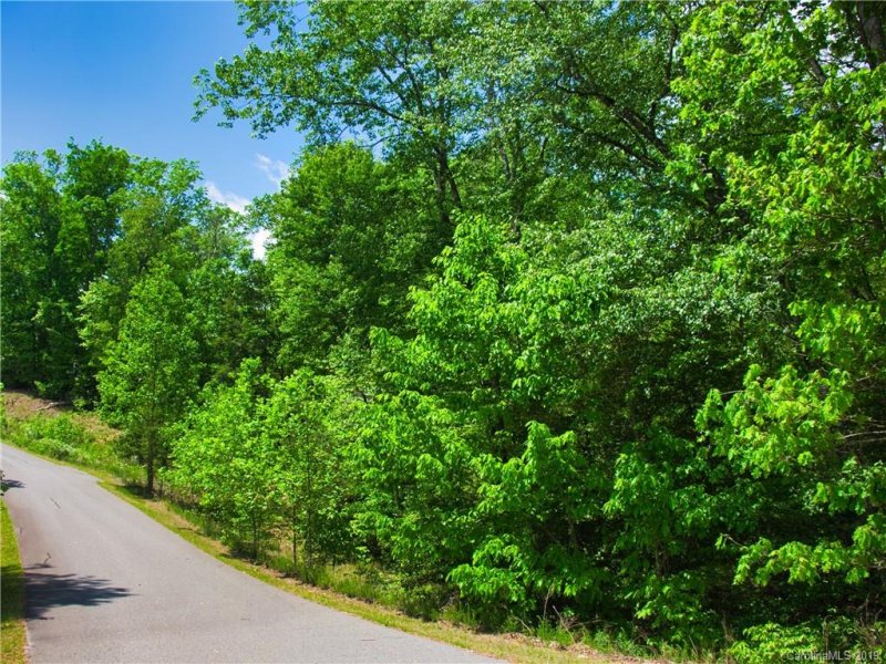 Property image 4 at Lot 23 Brookside Parkway, Lake Lure, NC 28746