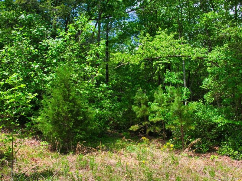 Property image 5 at Lot 23 Brookside Parkway, Lake Lure, NC 28746