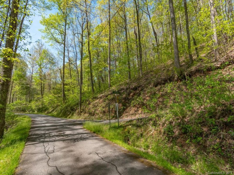 Property image 4 at 00 Heather Way, Waynesville, NC 28786