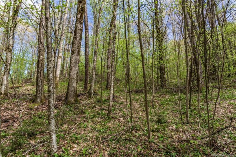 Property image 2 at Lot 64 Big Springs Trail, Qualla, NC 28719