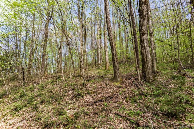 Property image 3 at Lot 64 Big Springs Trail, Qualla, NC 28719