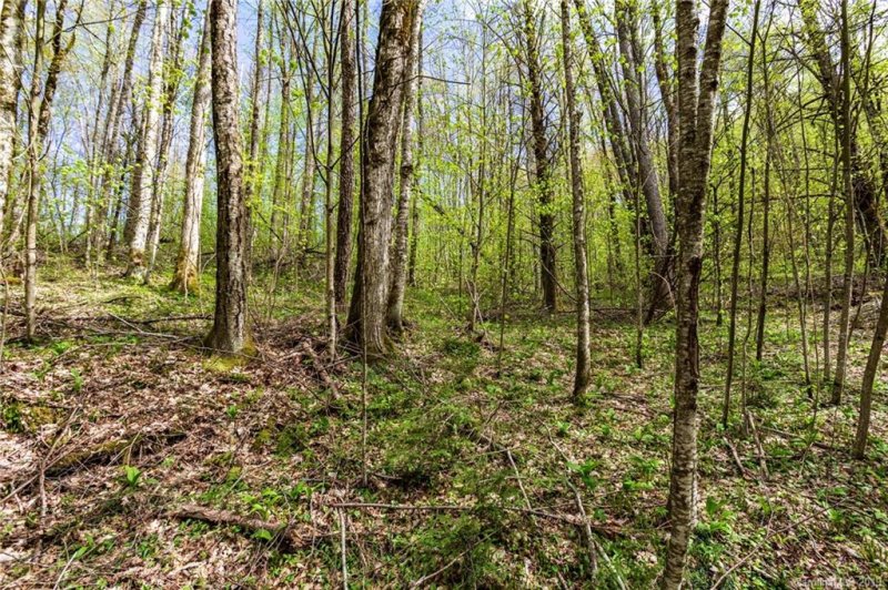 Property image 4 at Lot 64 Big Springs Trail, Qualla, NC 28719