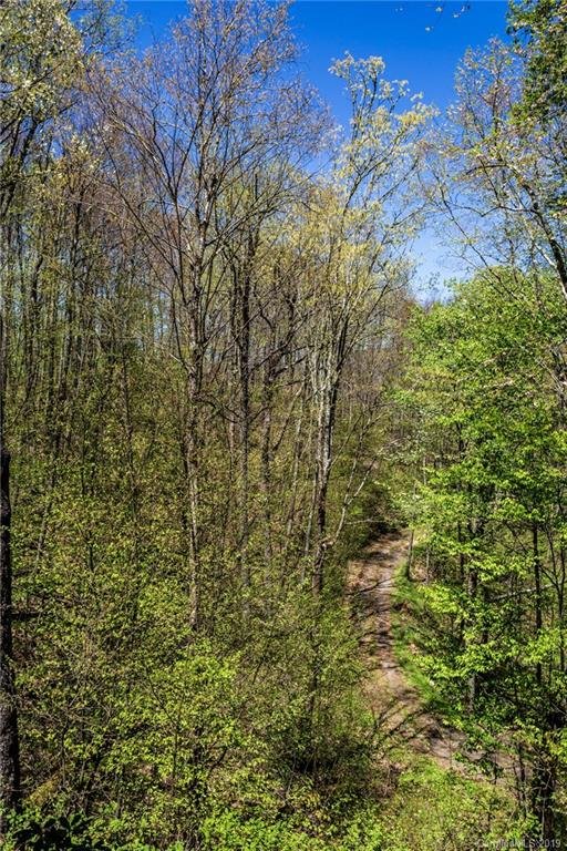 Property image 5 at Lot 64 Big Springs Trail, Qualla, NC 28719