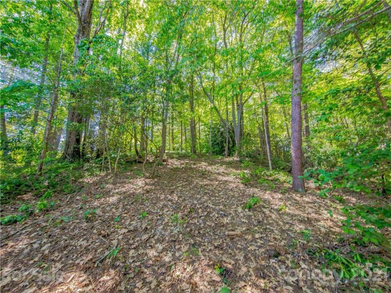 Property image 4 at 110 Mistletoe Trail, Hendersonville, NC 28791