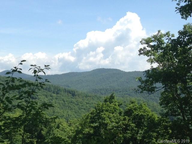 Property image 2 at 0000 Rocky Falls Drive, Black Mountain, NC 28711