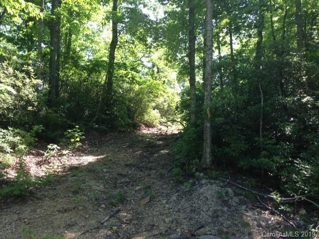 Property image 4 at 0000 Rocky Falls Drive, Black Mountain, NC 28711