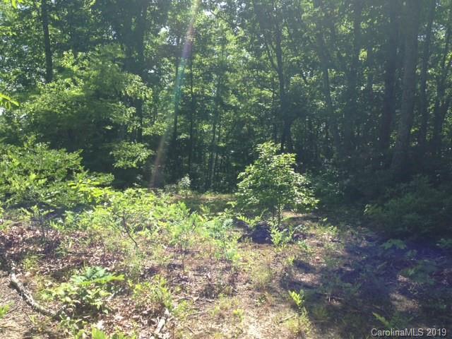 Property image 5 at 0000 Rocky Falls Drive, Black Mountain, NC 28711