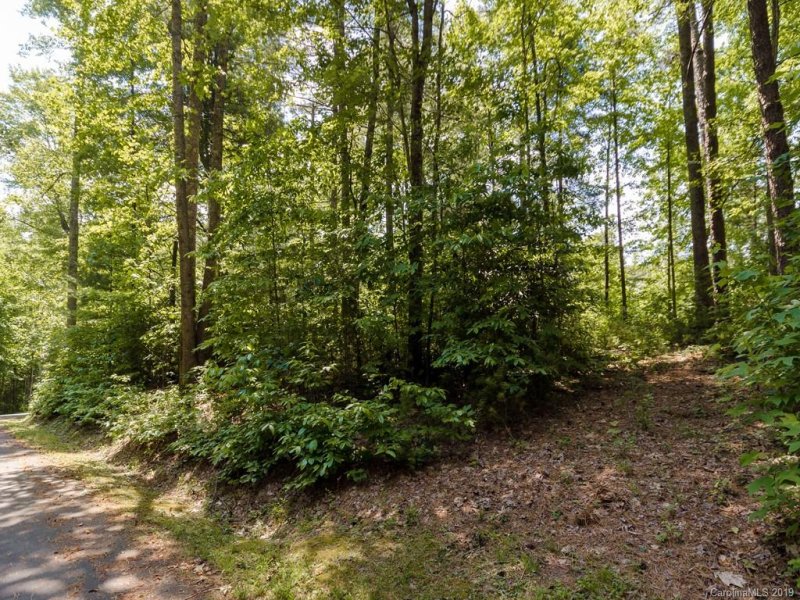 Property image 2 at 97 Oleta Falls Path, Hendersonville, NC 28792