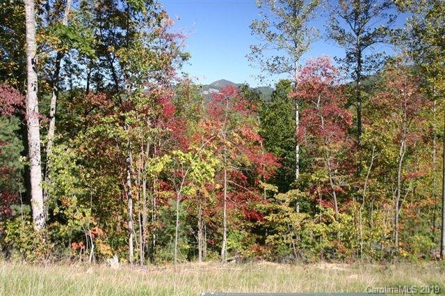 Property image 5 at 0000 Silverglen Way, Hendersonville, NC 28792