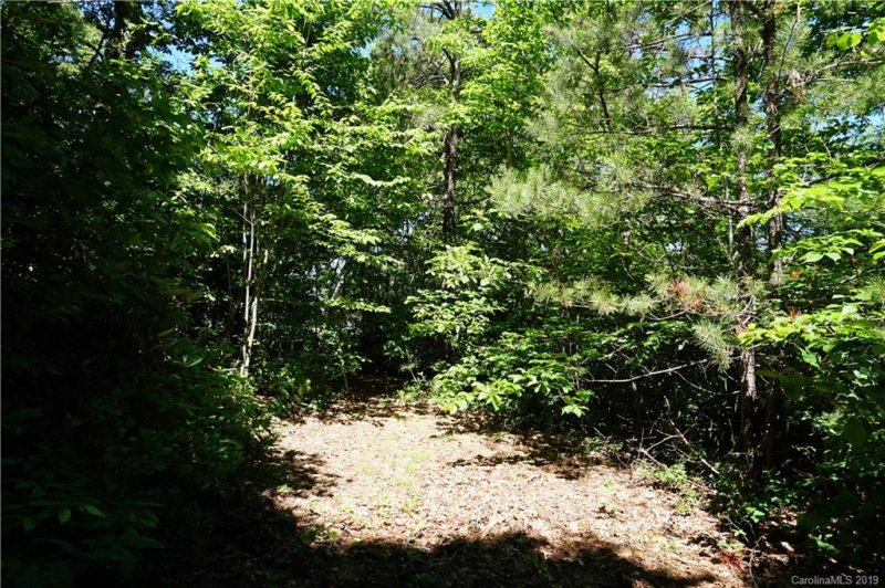 Property image 3 at 124 Davey Crockett Road, Fairview, NC 28730