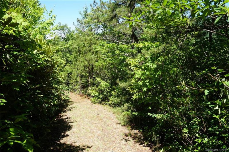 Property image 4 at 124 Davey Crockett Road, Fairview, NC 28730