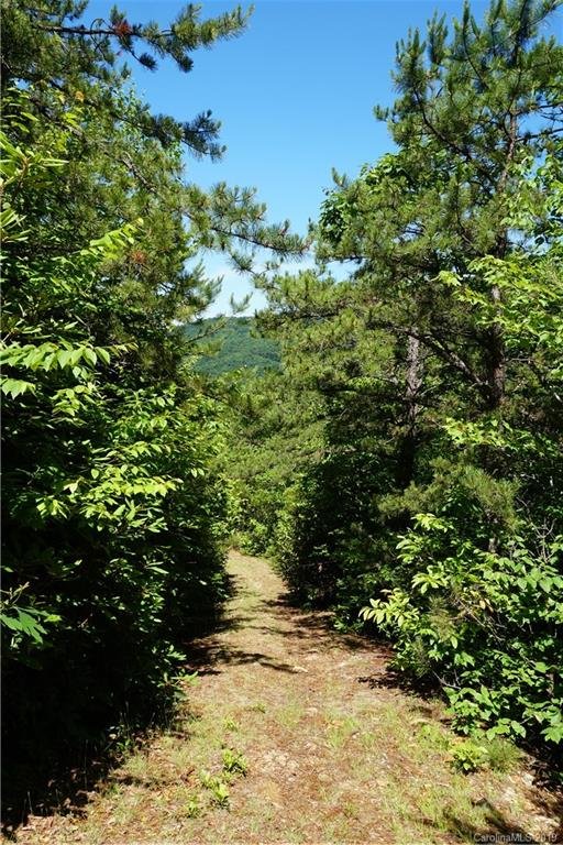 Property image 5 at 124 Davey Crockett Road, Fairview, NC 28730