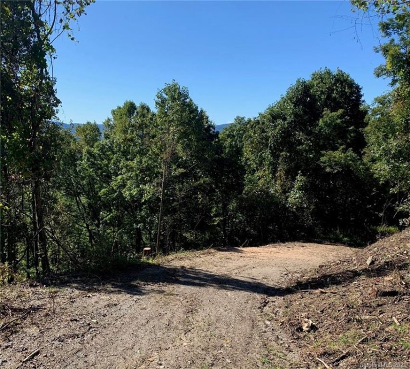 Property image 3 at 0 Roberts Drive, Hendersonville, NC 28739