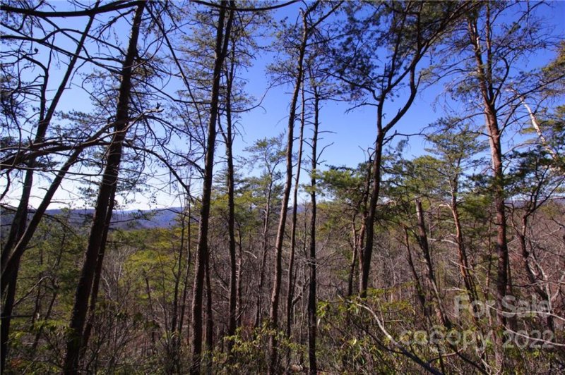 Property image 2 at 47 48 Round Mountain Road, Brevard, NC 28712