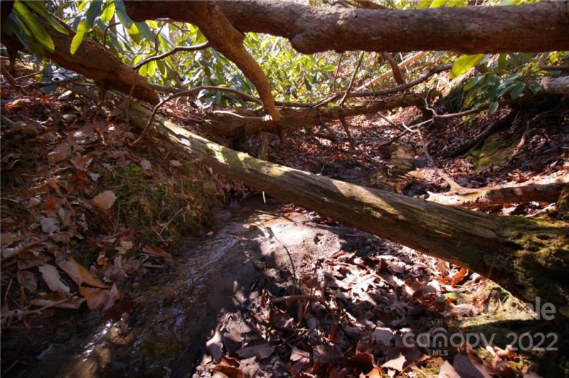 Property image 3 at 47 48 Round Mountain Road, Brevard, NC 28712