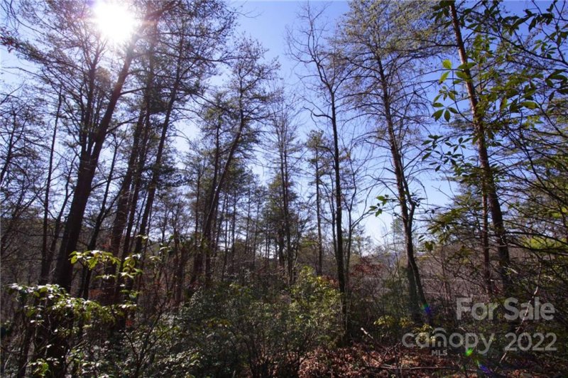 Property image 5 at 47 48 Round Mountain Road, Brevard, NC 28712