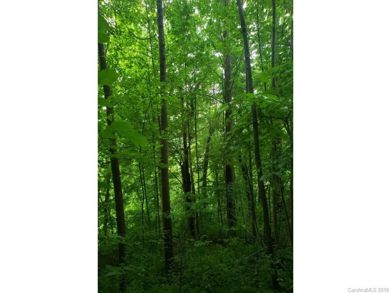 Property image 2 at 00 Ruffed Grouse Lane, Waynesville, NC 28786