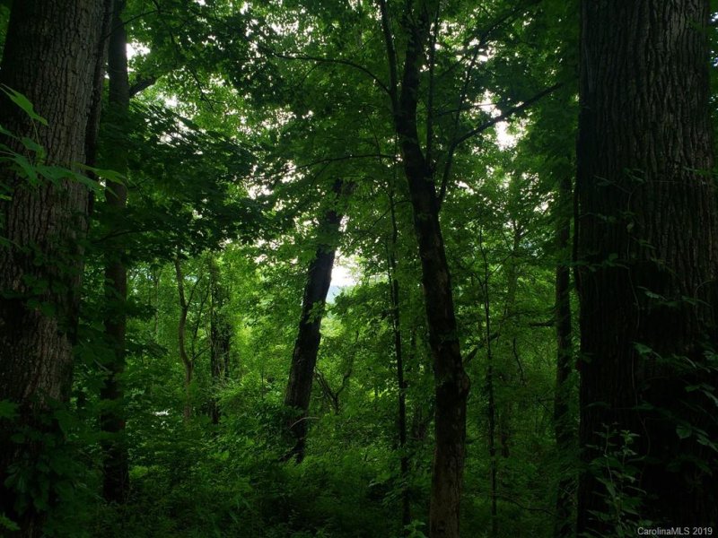 Property image 3 at 00 Ruffed Grouse Lane, Waynesville, NC 28786