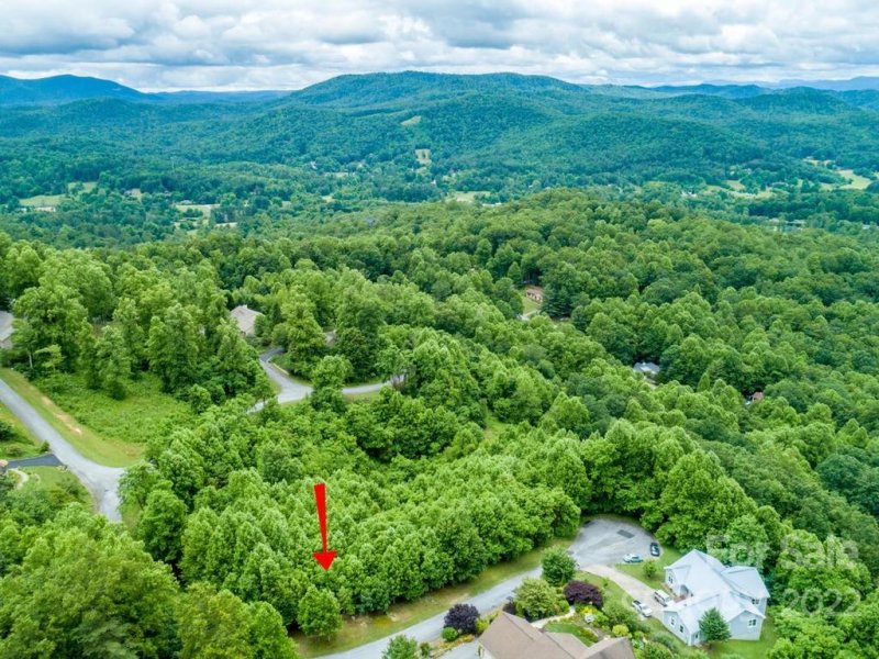 Property image 3 at 289 Coopers Drive, Hendersonville, NC 28739