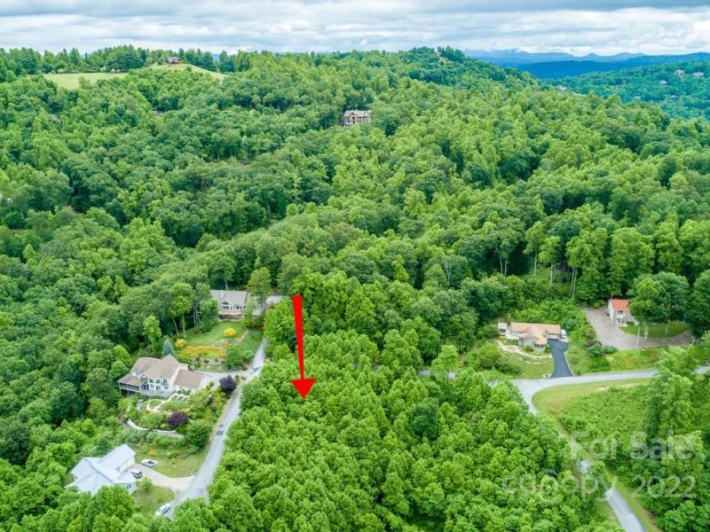 Property image 4 at 289 Coopers Drive, Hendersonville, NC 28739