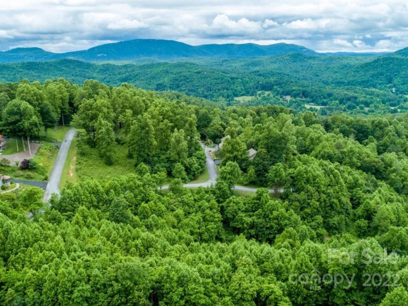 Property image 5 at 289 Coopers Drive, Hendersonville, NC 28739