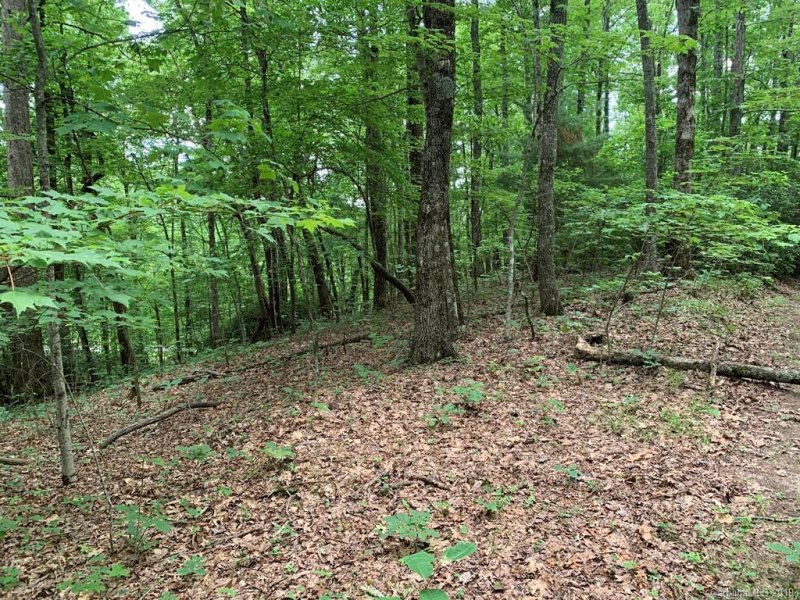 Property image 3 at 2e Reserve Road, Pisgah Forest, NC 28768