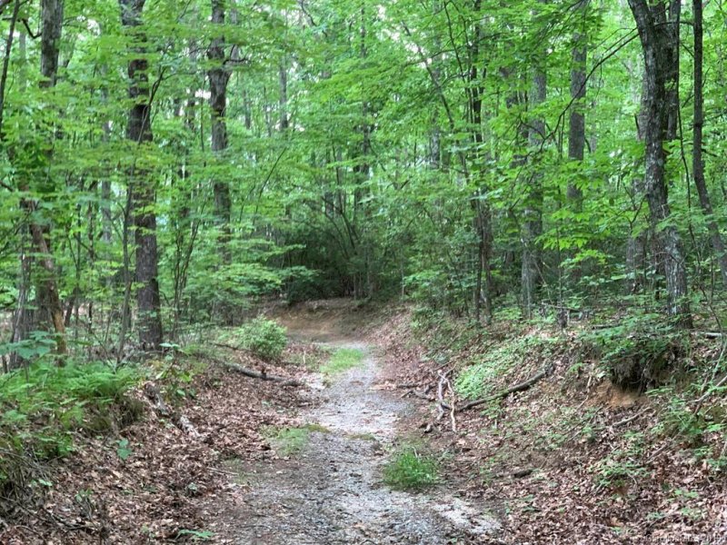 Property image 4 at 2e Reserve Road, Pisgah Forest, NC 28768