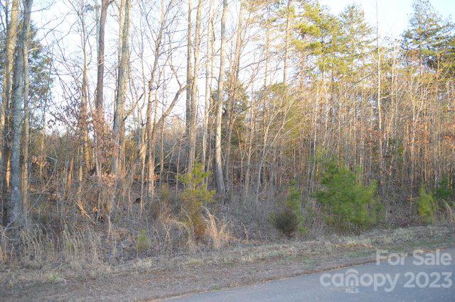 Property image 2 at 1075 Churchfield Lane, Rockwell, NC 28138