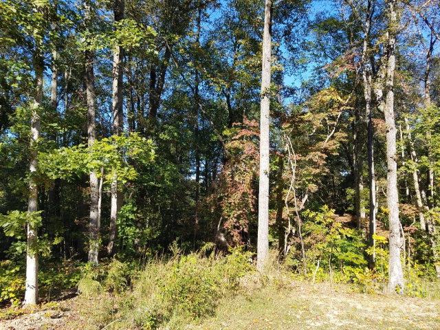 Property image 2 at 1077 Shawnee Trail, China Grove, NC 28023