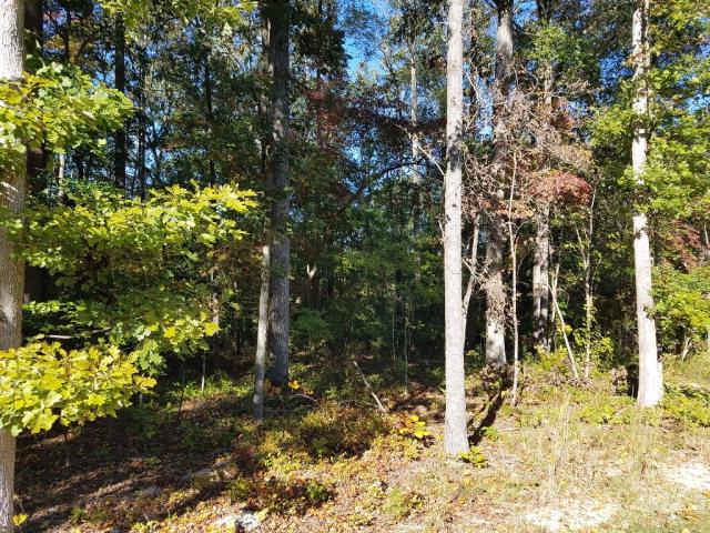 Property image 4 at 1077 Shawnee Trail, China Grove, NC 28023