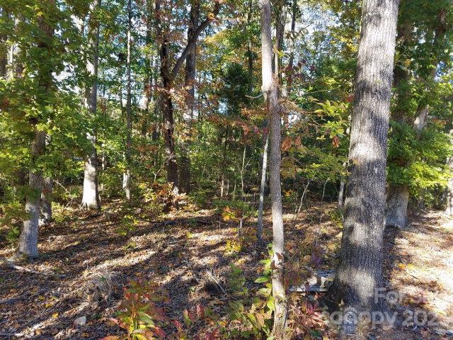 Property image 5 at 1077 Shawnee Trail, China Grove, NC 28023