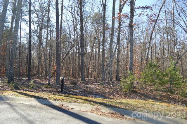 Property image 4 at 1220 Long Creek Lane, Salisbury, NC 28146