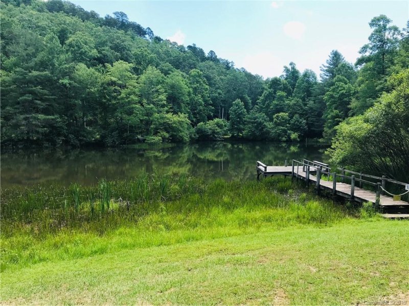 Property image 3 at 330 Lynn Crest Drive, Brevard, NC 28712