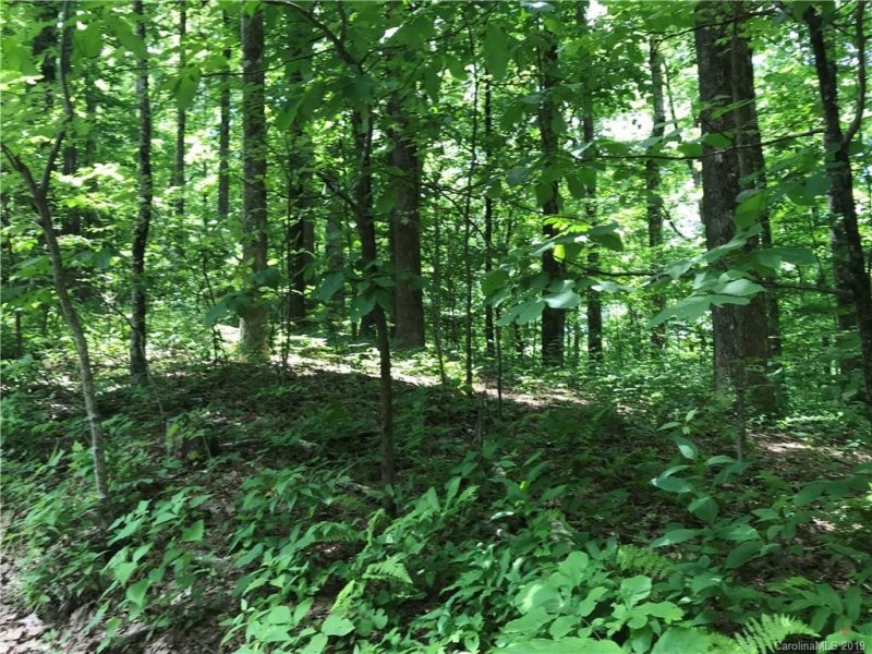 Property image 5 at 330 Lynn Crest Drive, Brevard, NC 28712