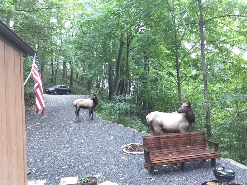 Property image 2 at 228 Mountain Laurel Road, Maggie Valley, NC 28751