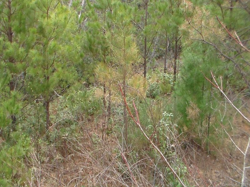 Property image 3 at 46 Nuthatch Court, Fairview, NC 28730