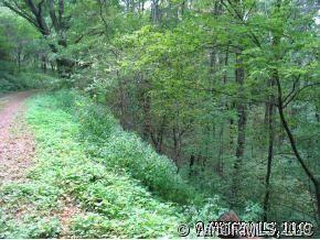 Property image 2 at 53 Hurricane Ridge Trace, Clyde, NC 28721