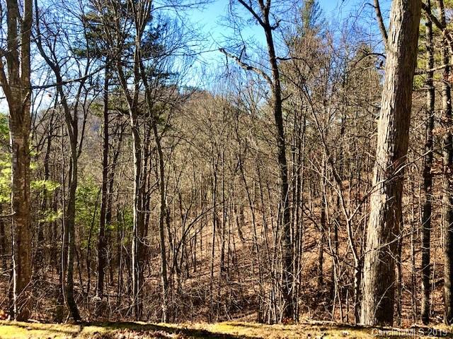 Property image 2 at 46 Starling Pass, Asheville, NC 28804