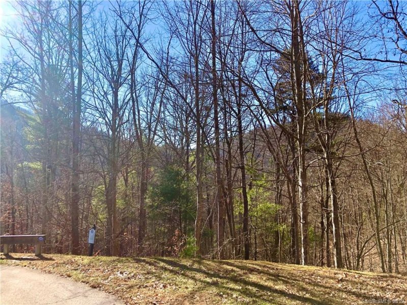 Property image 3 at 46 Starling Pass, Asheville, NC 28804