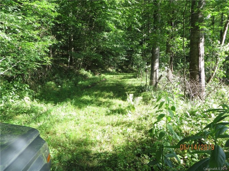 Property image 3 at Tbd Walnut Ridge Drive, Clyde, NC 28721