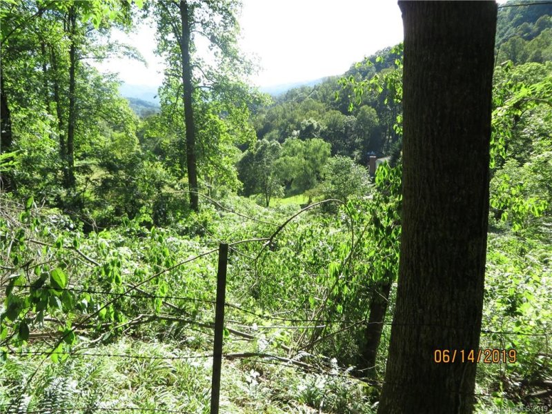 Property image 5 at Tbd Walnut Ridge Drive, Clyde, NC 28721